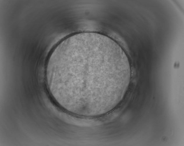 X0000091900012200710031831