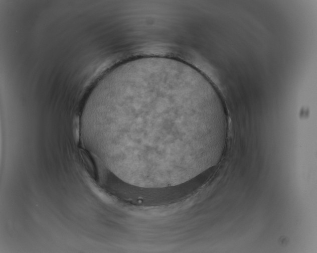 X0000091900013200710031831