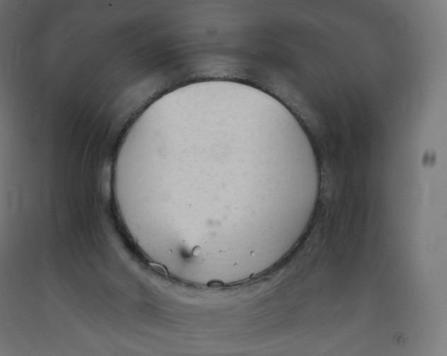 X0000091900014200710031831