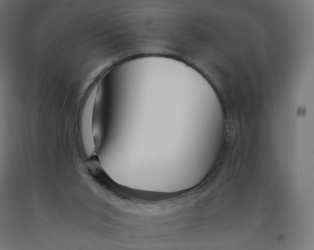 X0000091900015200710031831