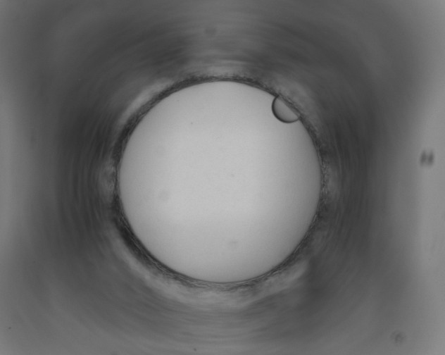 X0000091900016200710031831