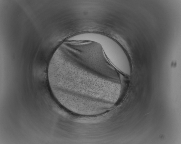 X0000091900017200710031831