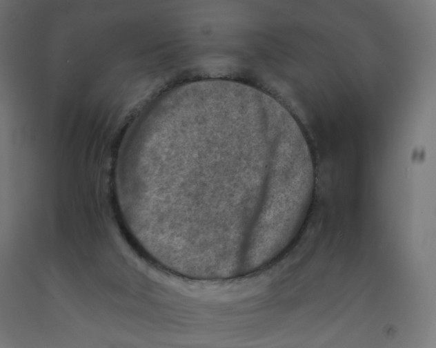 X0000091900018200710031831