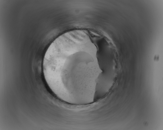 X0000091900019200710031831