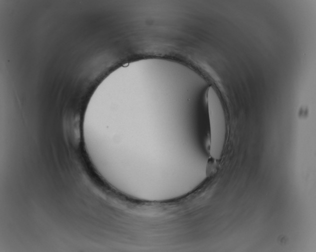 X0000091900020200710031831