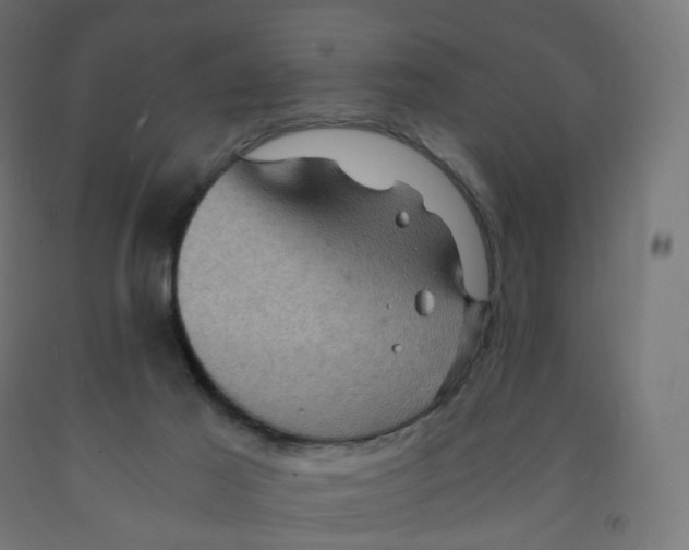 X0000091900021200710031831