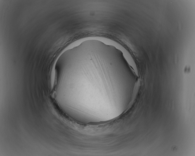 X0000091900022200710031831