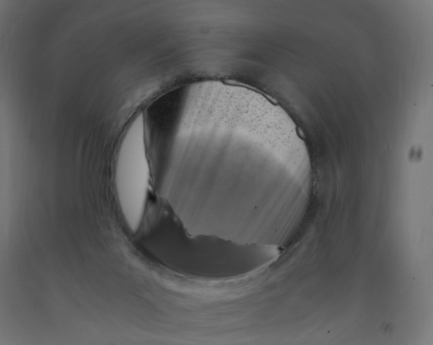 X0000091900023200710031831