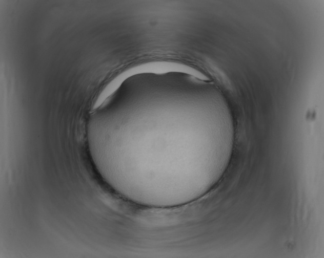 X0000091900025200710031831