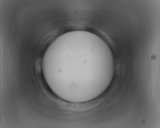 X0000091900026200710031831