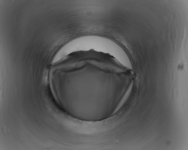 X0000091900027200710031831