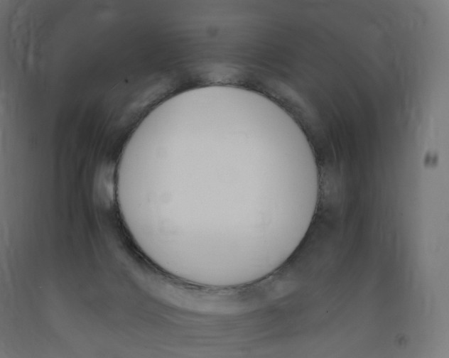 X0000091900028200710031831