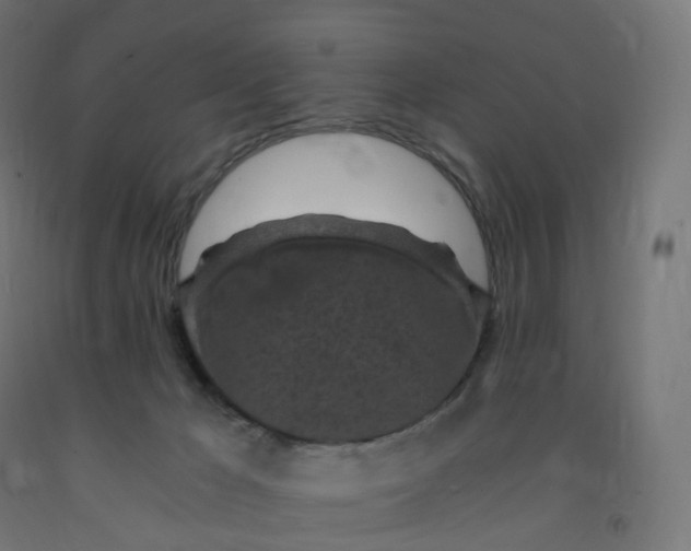 X0000091900029200710031831