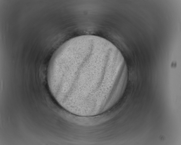 X0000091900030200710031831