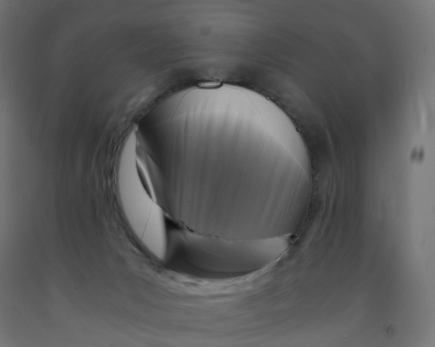 X0000091900031200710031831