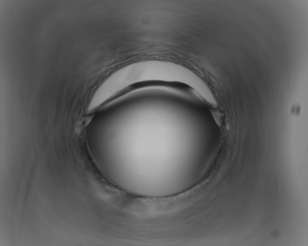 X0000091900033200710031831