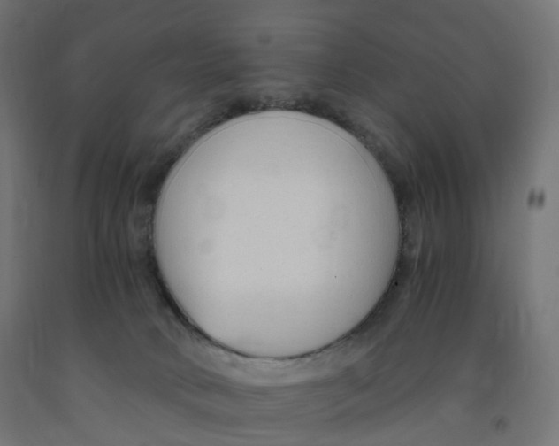 X0000091900034200710031831