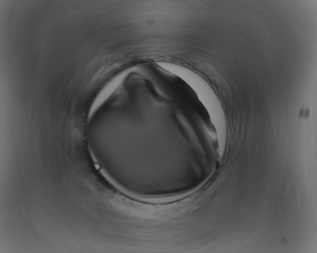 X0000091900035200710031831