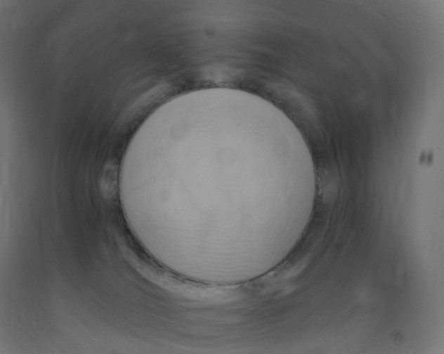 X0000091900036200710031831