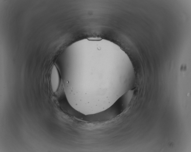 X0000091900037200710031831