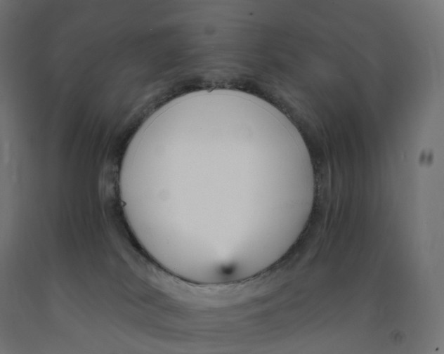 X0000091900038200710031831