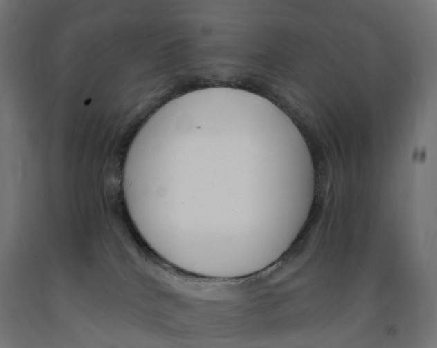 X0000091900040200710031831