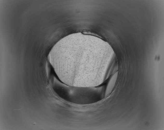 X0000091900041200710031831