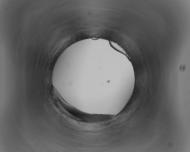 X0000091900044200710031831