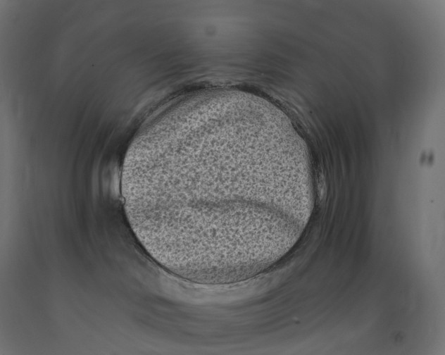 X0000091900046200710031831