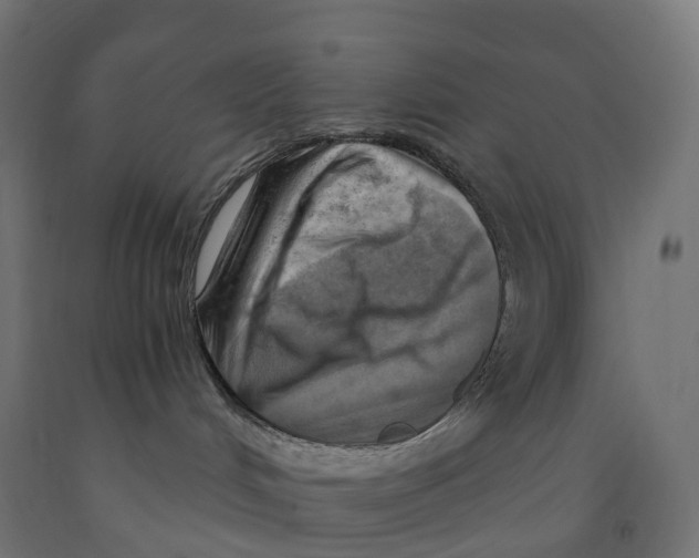 X0000091900048200710031831