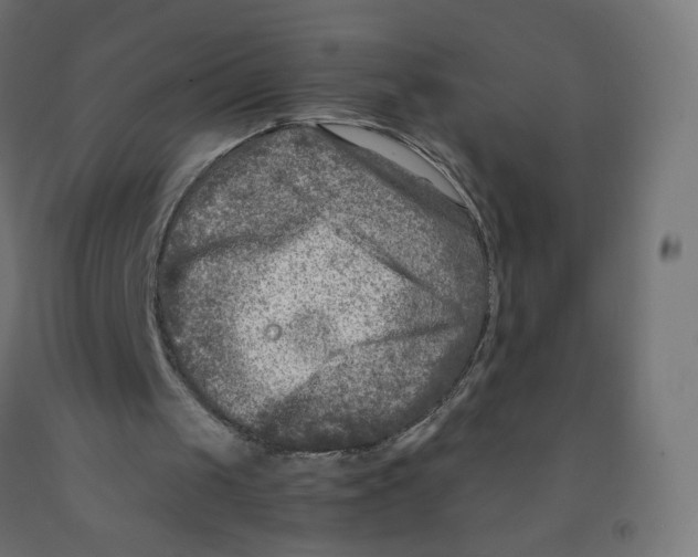 X0000091900049200710031830