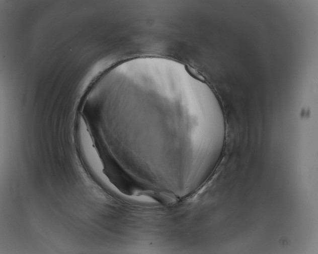 X0000091900054200710031830