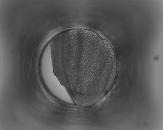 X0000091900055200710031830