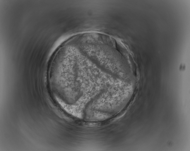 X0000091900056200710031830