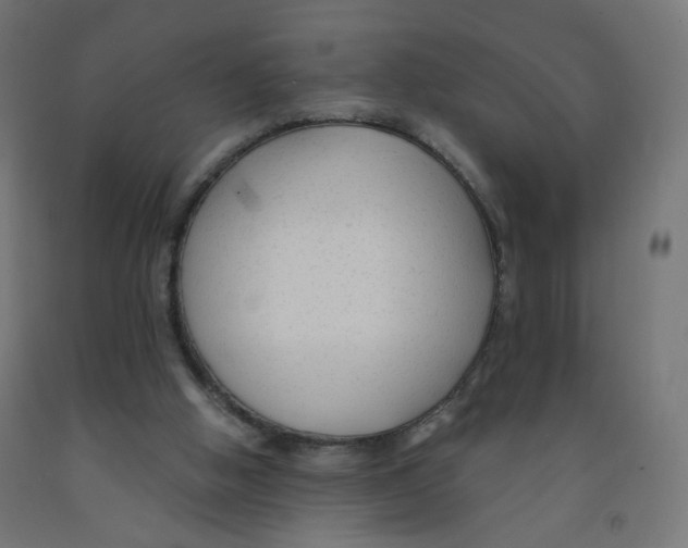 X0000091900058200710031830