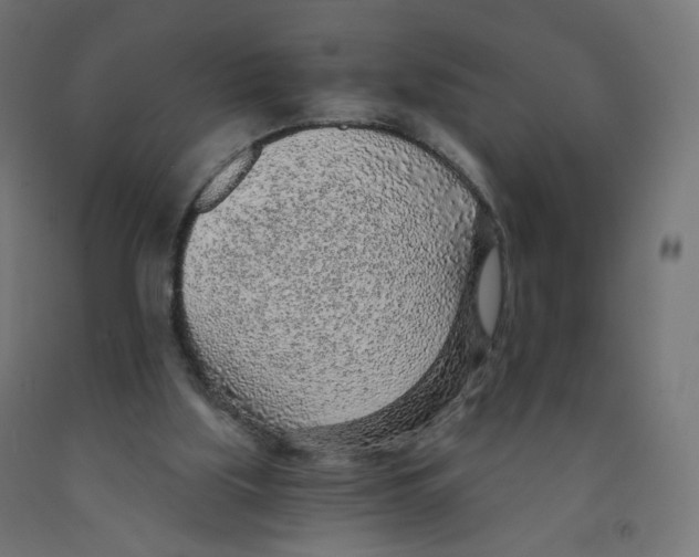 X0000091900059200710031830