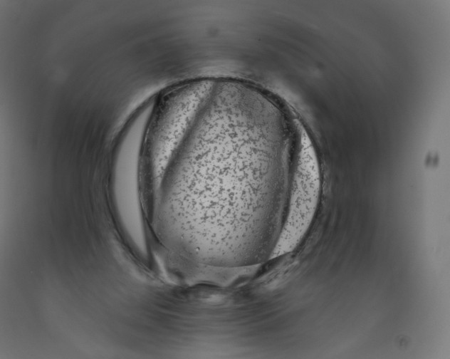 X0000091900060200710031830