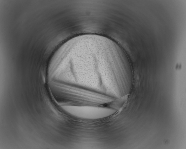 X0000091900062200710031830