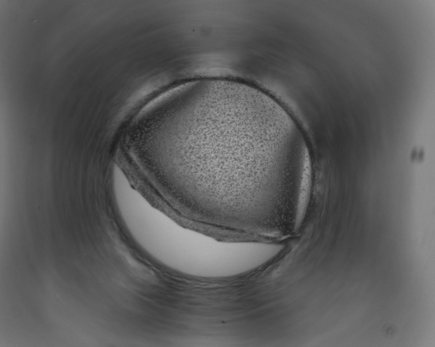 X0000091900063200710031830