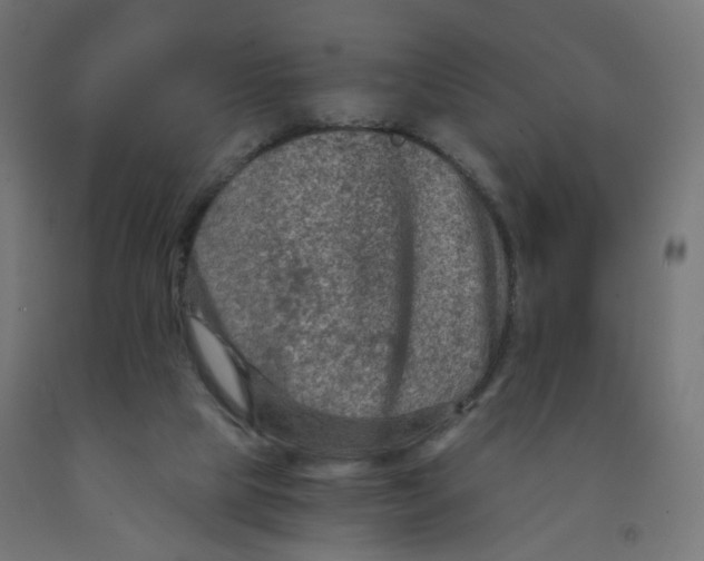 X0000091900065200710031830