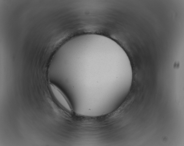 X0000091900066200710031830