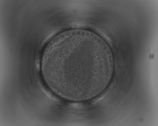 X0000091900067200710031830