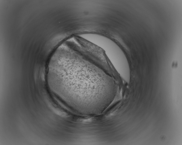 X0000091900068200710031830