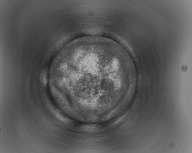 X0000091900069200710031830