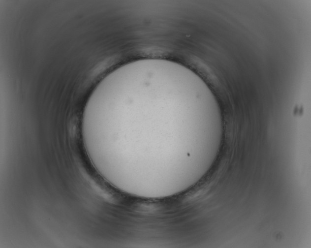 X0000091900071200710031830