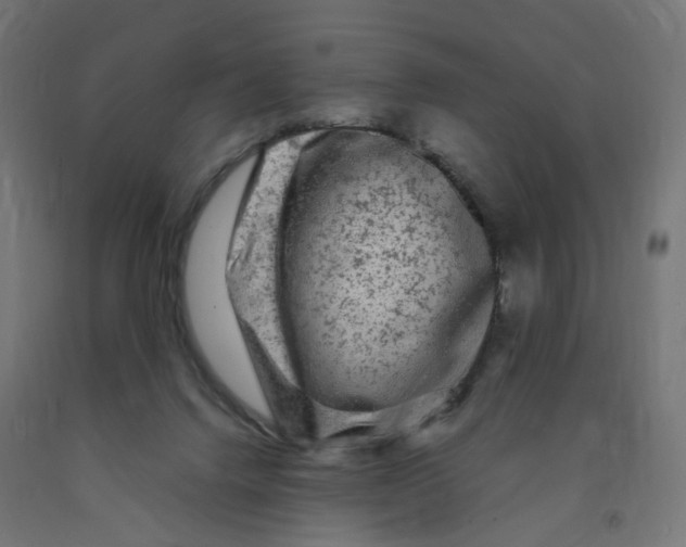 X0000091900072200710031830