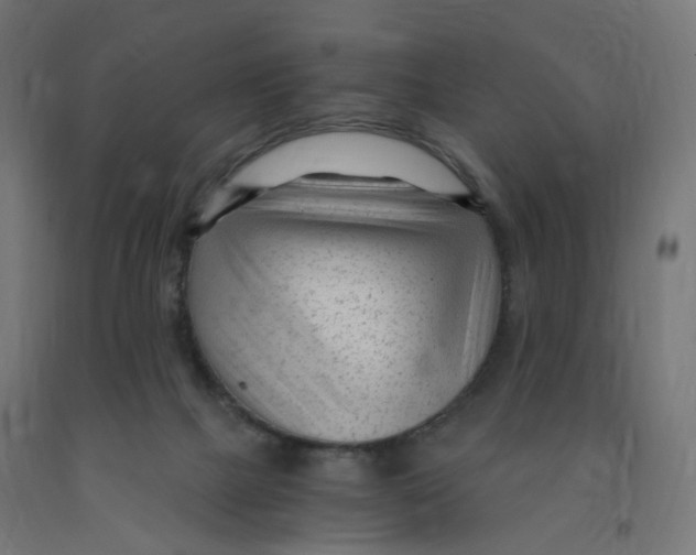 X0000091900073200710031830