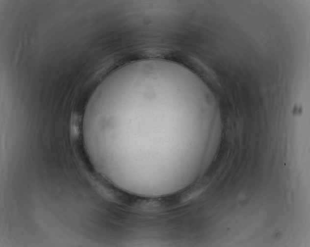 X0000091900075200710031830