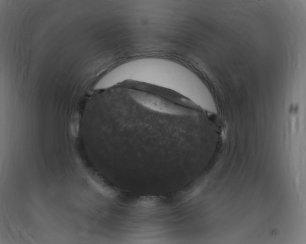 X0000091900076200710031830