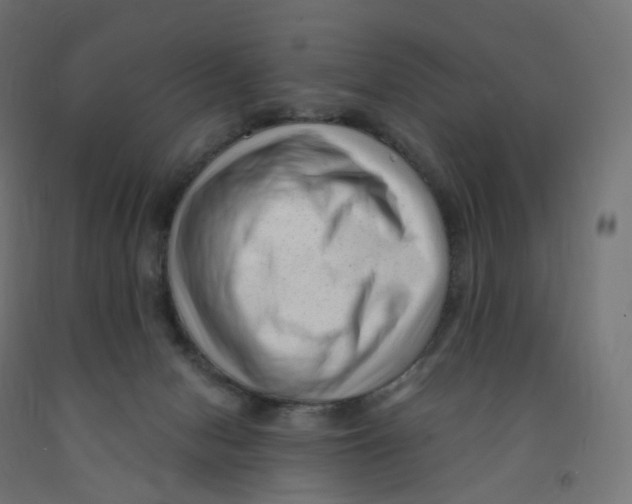 X0000091900078200710031830